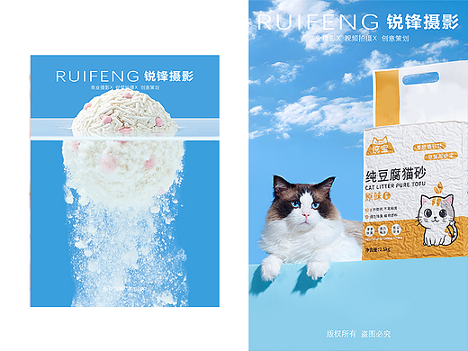 宠物摄影|宠物用品|猫砂|武汉摄影