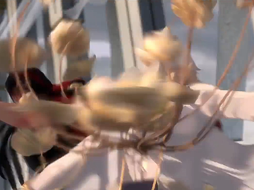 音效设计《阴阳师》 练习展示showcase