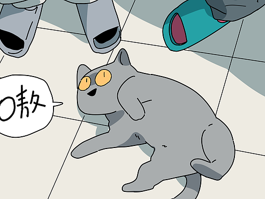 猫咪绝育历险记