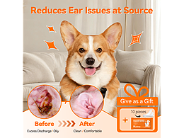 寵物滴耳液送指套亞馬遜主副圖設(shè)計