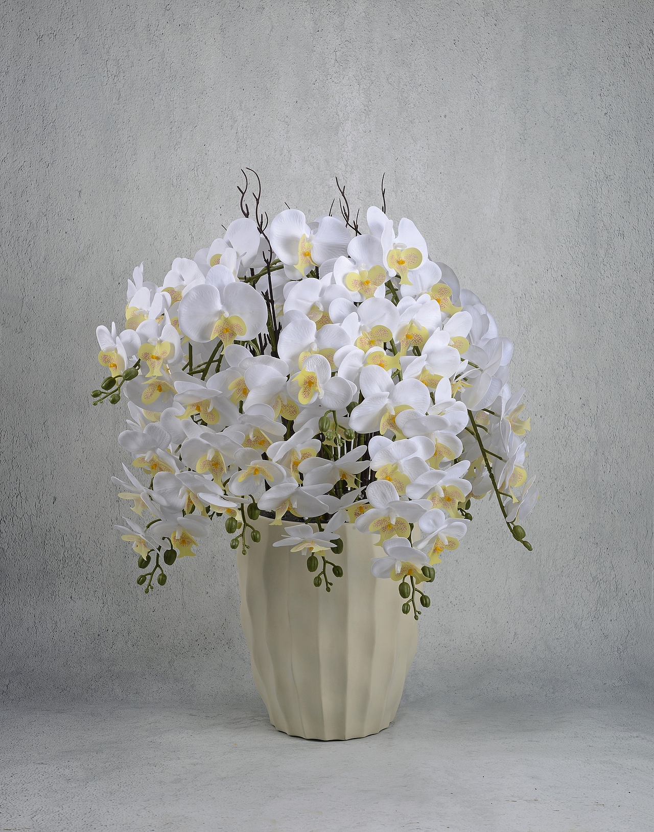 2025一些些摄影图片（图ZNDAxODc1NjYw） - 产品摄影 - 站酷设计师爱图商业摄影原创素材 - 站酷ZCOOL