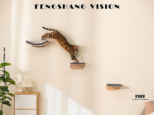 猫爬架视频摄影｜亚马逊宠物产品拍摄丨猫爬架拍摄