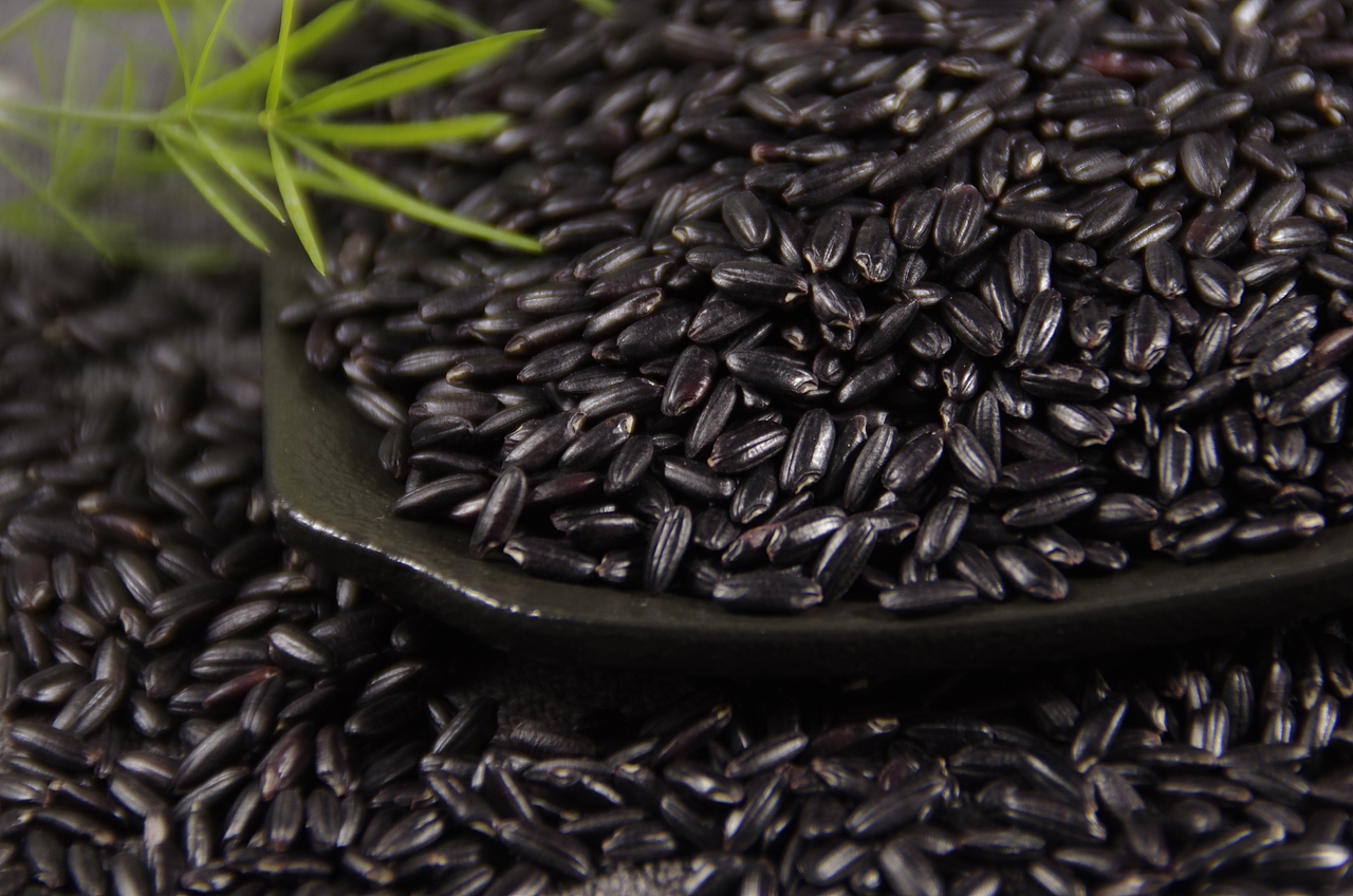 黑米（图ZNDAxOTAyMTQ4） - 其他摄影 - 站酷设计师玄壹行于山原创素材 - 站酷ZCOOL