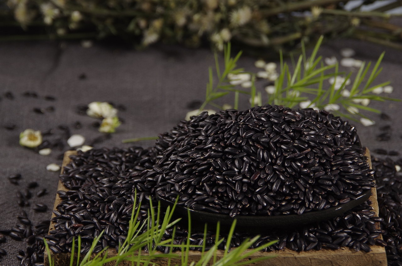 黑米（图ZNDAxOTAyMTU2） - 其他摄影 - 站酷设计师玄壹行于山原创素材 - 站酷ZCOOL