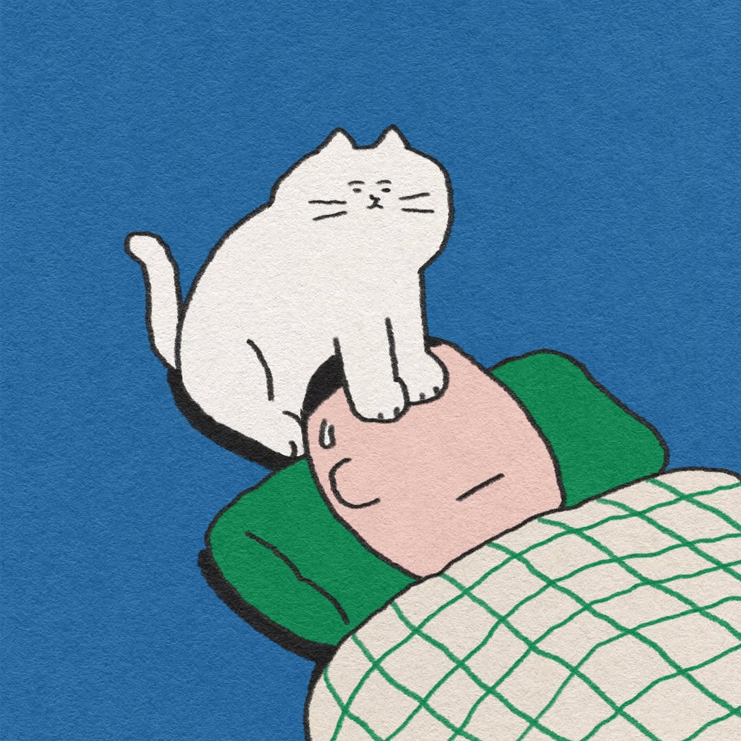 和猫子的没招儿日常-韩国艺术家Gomatsu的插画作品｜365天的好设计 NO.165（图ZMTUzODkyNTY=） - 观点 - 站酷设计师365天的好设计原创素材 - 站酷ZCOOL