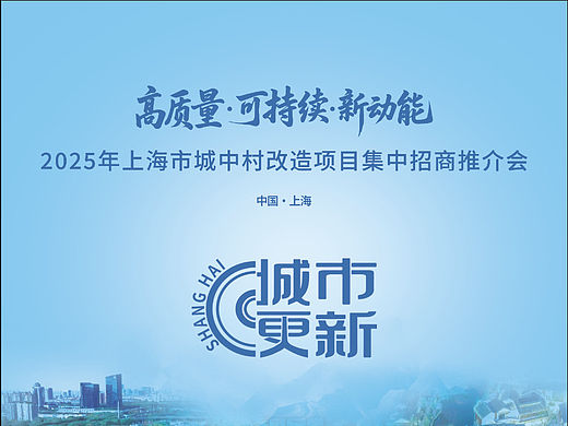 上海城中村改造项目推介会