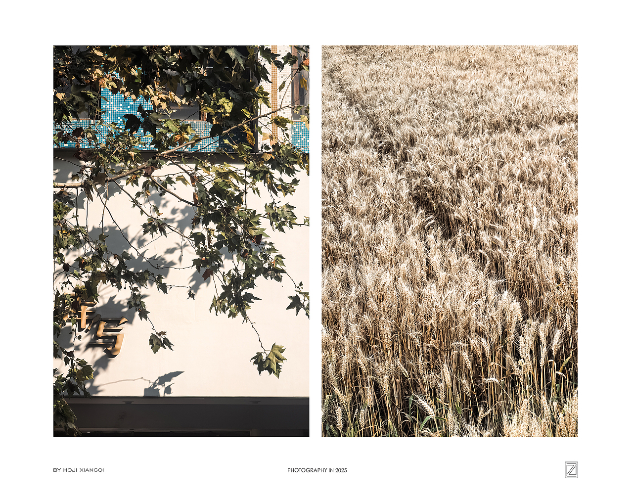 2025 | 摄影年度总结（图ZNDAxOTM3ODky） - 产品摄影 - 站酷设计师像柒原创素材 - 站酷ZCOOL