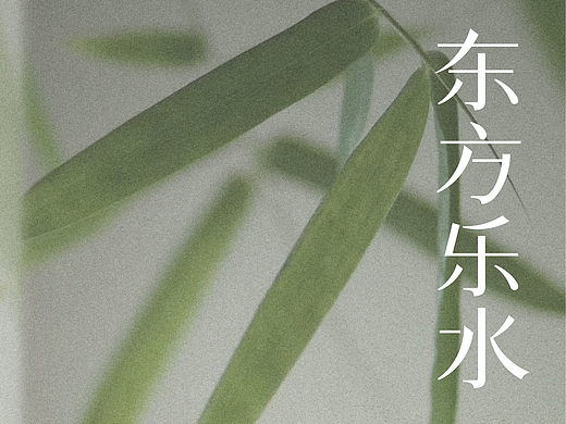 原创设计｜植物水品牌形象设计
