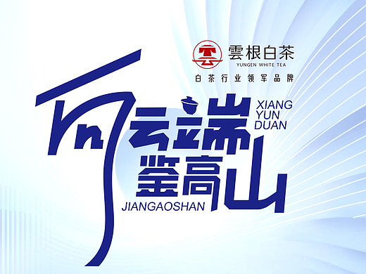云根白茶 | 向云端，见高山