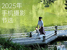 手机摄影 ｜ 2025年那些摄影镜头的瞬间
