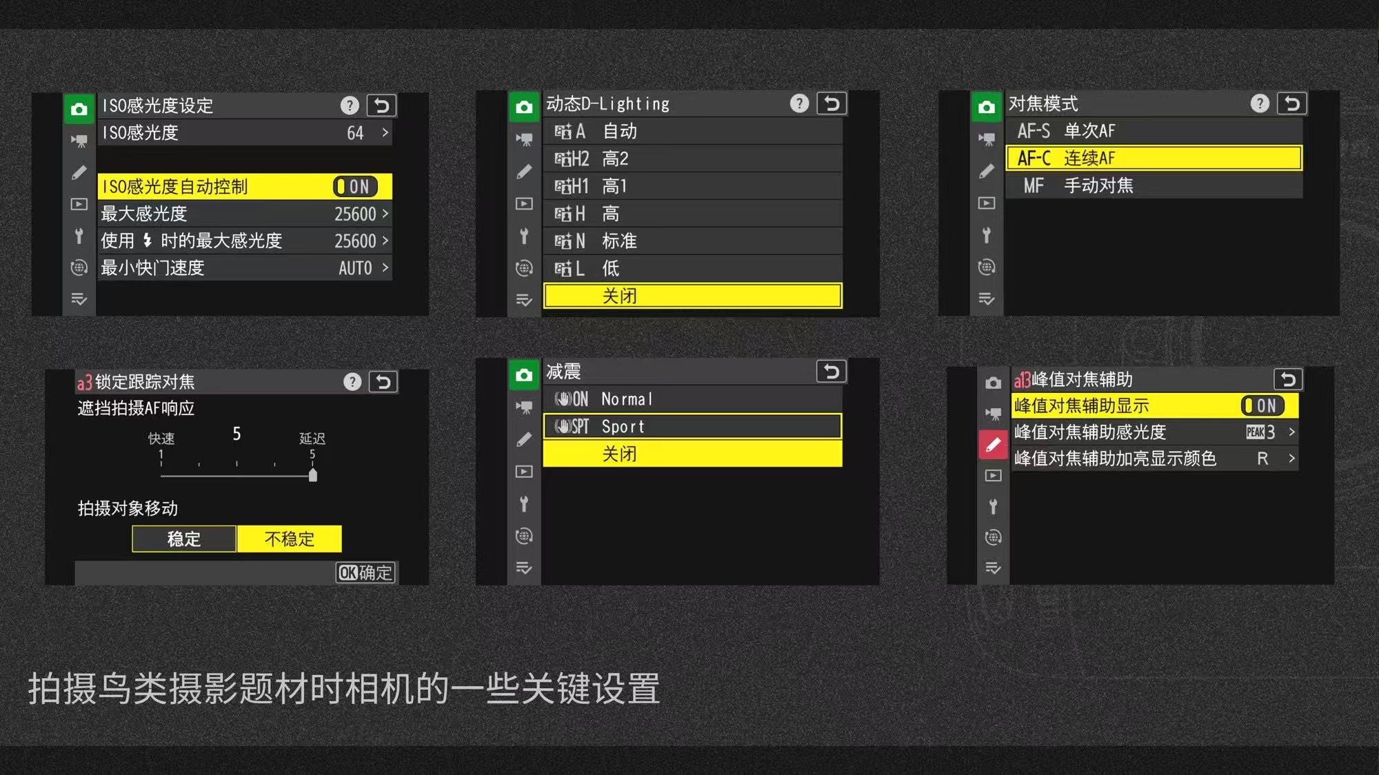 摄影摄像视频后期制作（图ZMTUzOTA2ODg=） - 教程 - 站酷设计师沙僧SEA原创素材 - 站酷ZCOOL