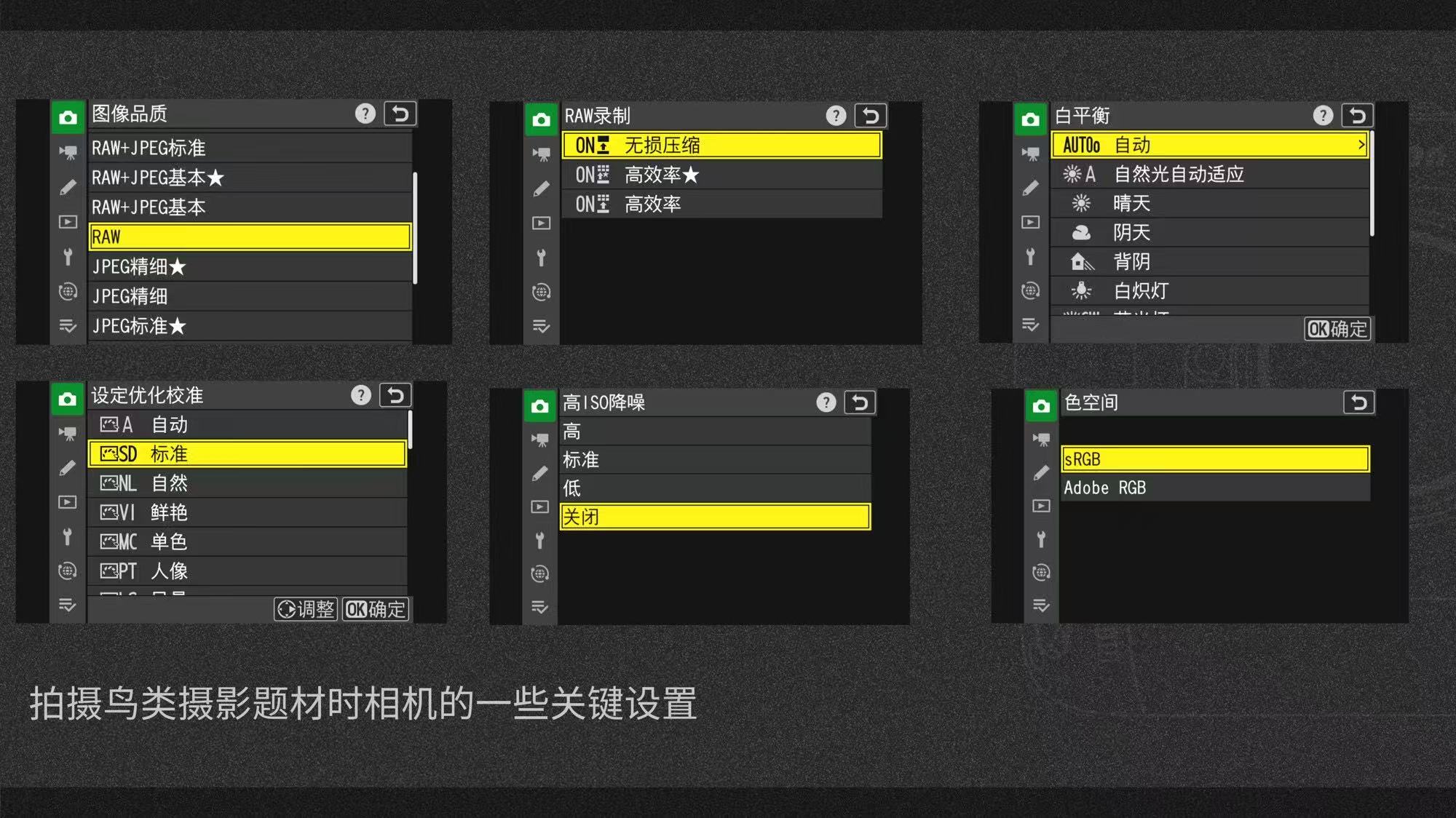 摄影摄像视频后期制作（图ZMTUzOTA2ODQ=） - 教程 - 站酷设计师沙僧SEA原创素材 - 站酷ZCOOL