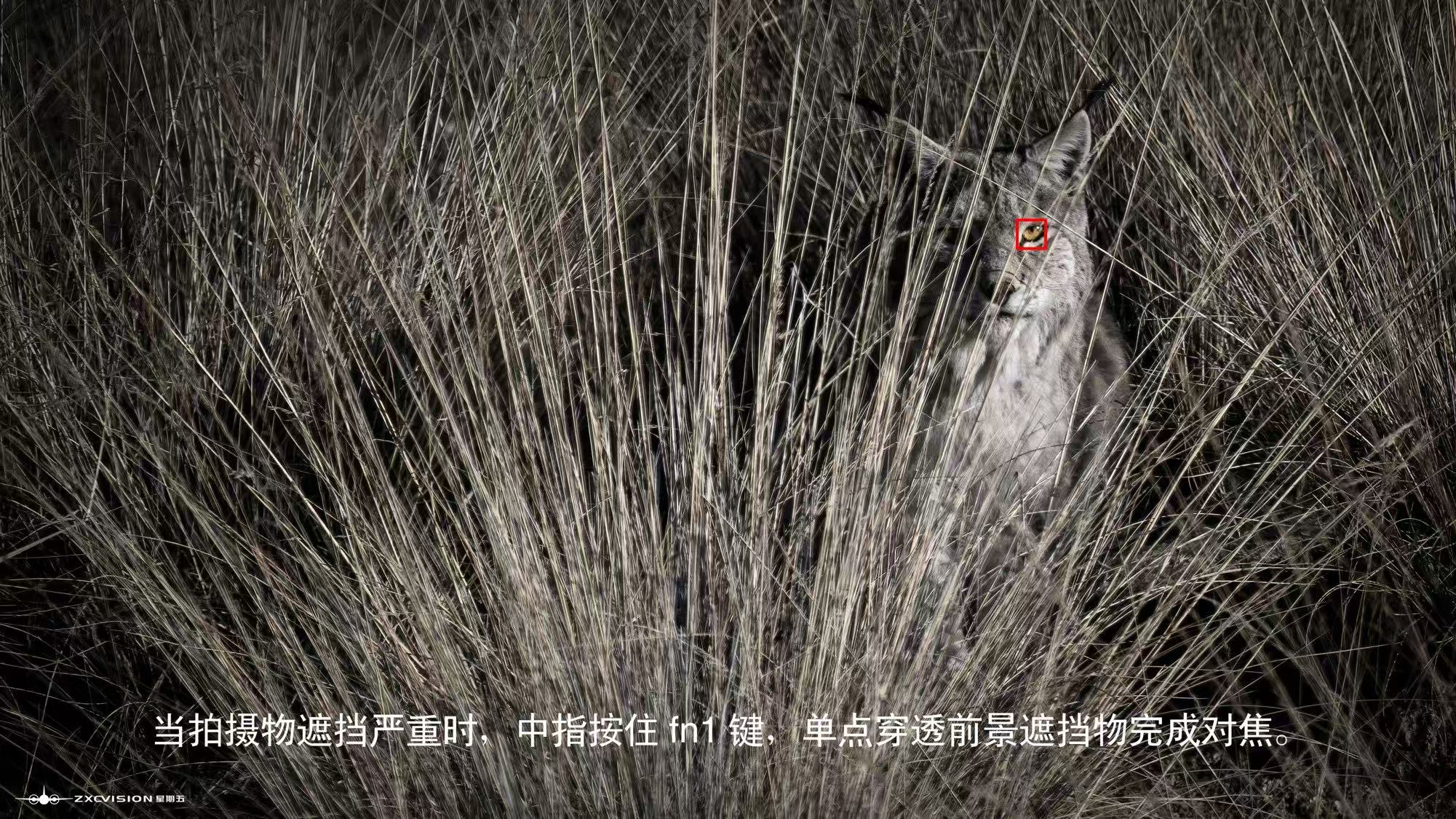 摄影摄像视频后期制作（图ZMTUzOTA3MTI=） - 教程 - 站酷设计师沙僧SEA原创素材 - 站酷ZCOOL