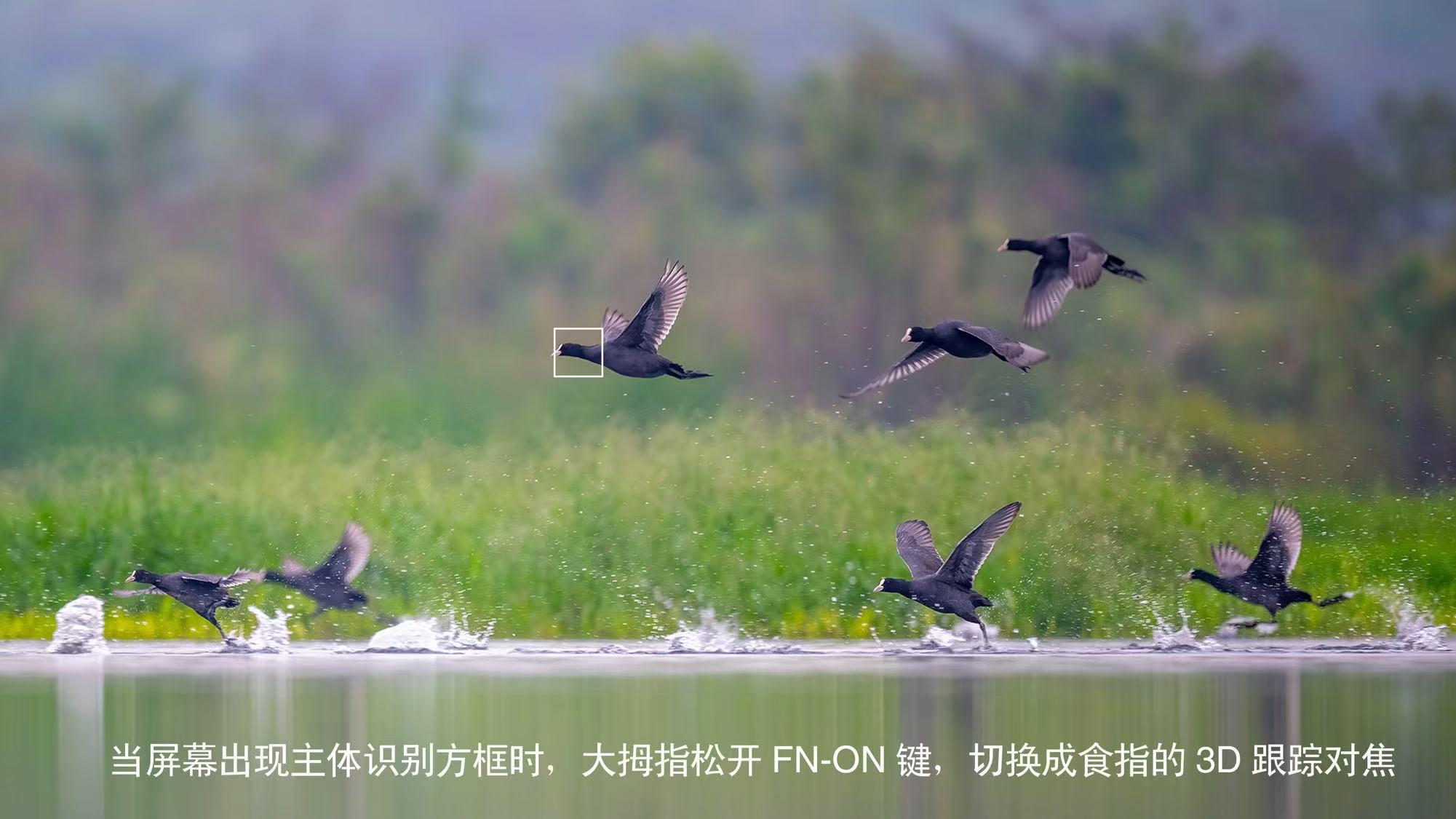 摄影摄像视频后期制作（图ZMTUzOTA3MDg=） - 教程 - 站酷设计师沙僧SEA原创素材 - 站酷ZCOOL