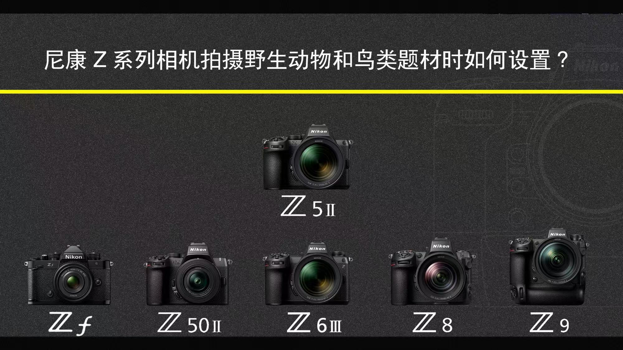 摄影摄像视频后期制作（图ZMTUzOTA2NzY=） - 教程 - 站酷设计师沙僧SEA原创素材 - 站酷ZCOOL