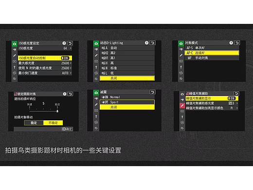 摄影摄像视频后期制作