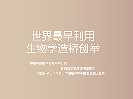 中国现存最早跨海梁式石桥