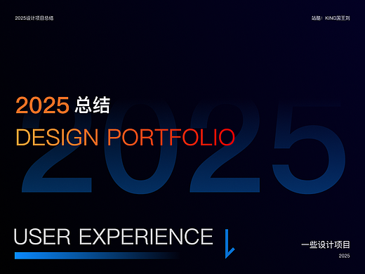 2025项目总结