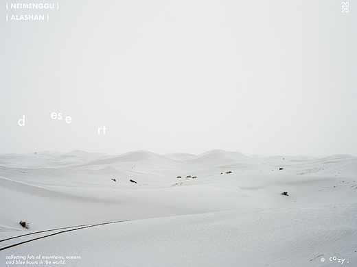 I've seen the snow in the Desert