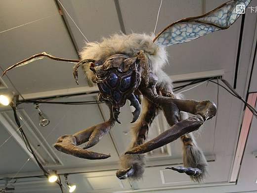 宇宙大昆虫 戴奥利乌斯