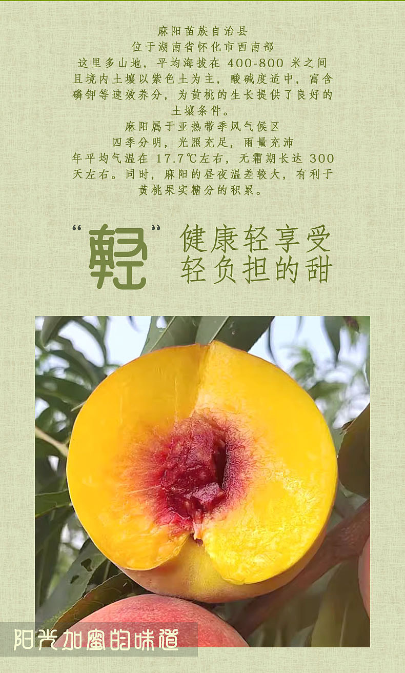 黄桃详情页（图ZNDAxOTk3NjY0） - 电商 - 站酷设计师Z327937580原创素材 - 站酷ZCOOL