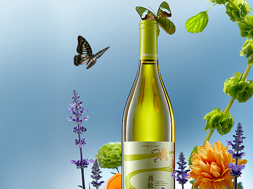 🔴给海晟•晨牧葡萄酒拍摄的一期kv图