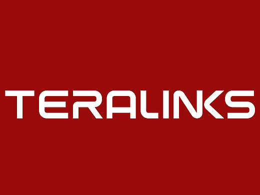 文字标志/TERALINKS