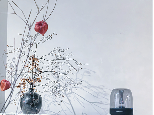 秋日水畔的斑斓水杉树