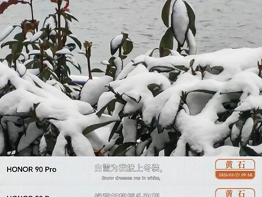 雪落湖岸叶凝霜（个人主页-ZNzMxMDUwNTY=） - 风光摄影 - 站酷设计师Z187845713原创素材 - 站酷ZCOOL