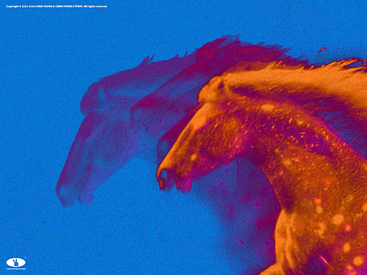 CHRIS YOUNG STUDIO 2026 CNY | 掠影寰宇 躍至未來（個人主頁-ZNzMxMDczMDA=） - 品牌 - 站酷設(shè)計師楊鎮(zhèn)澤CHRISYOUNG原創(chuàng)素材 - 站酷ZCOOL