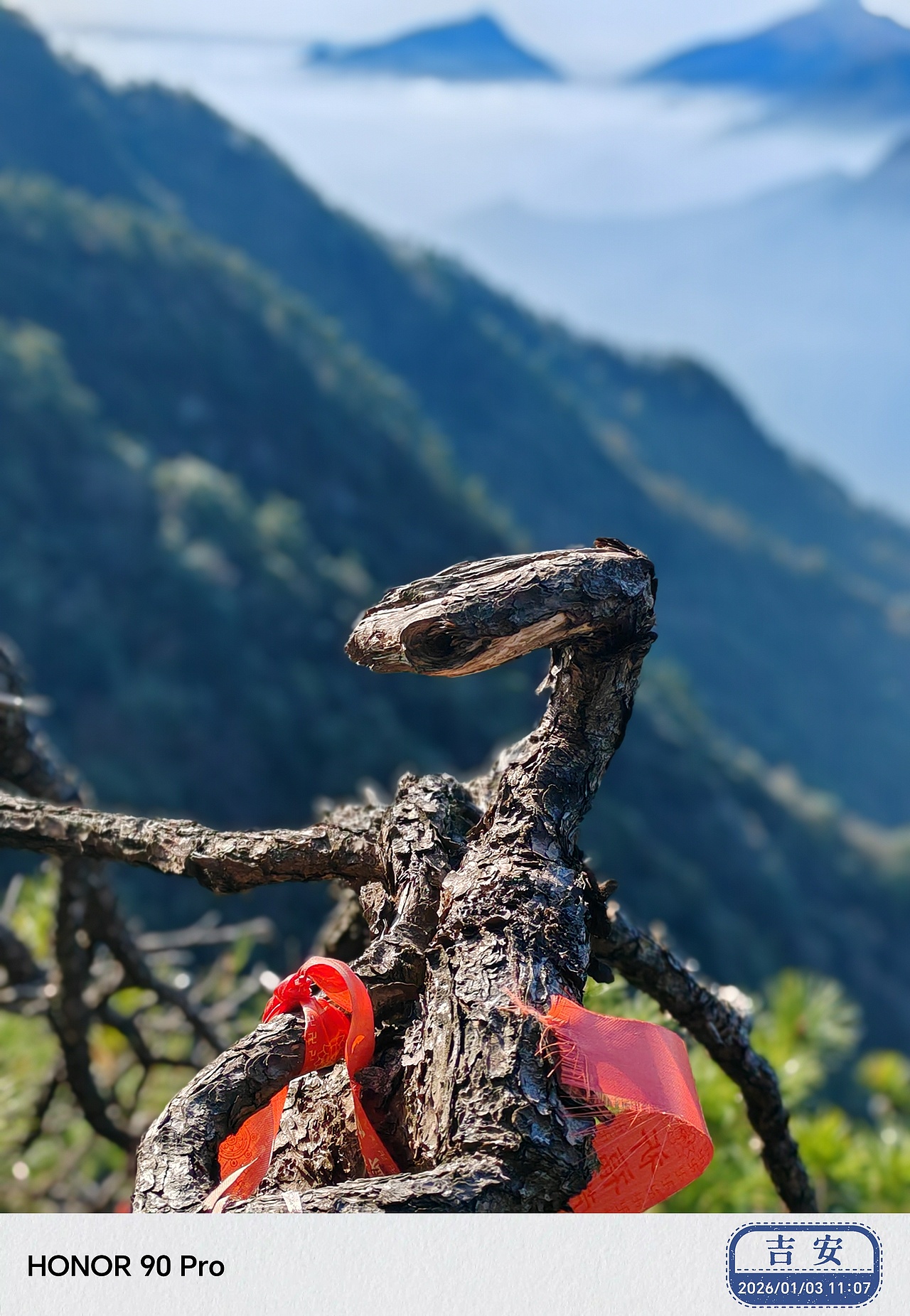 标题 山巅灵松（图ZNDAyMTQzNTI4） - 风光摄影 - 站酷设计师Z060175116原创素材 - 站酷ZCOOL