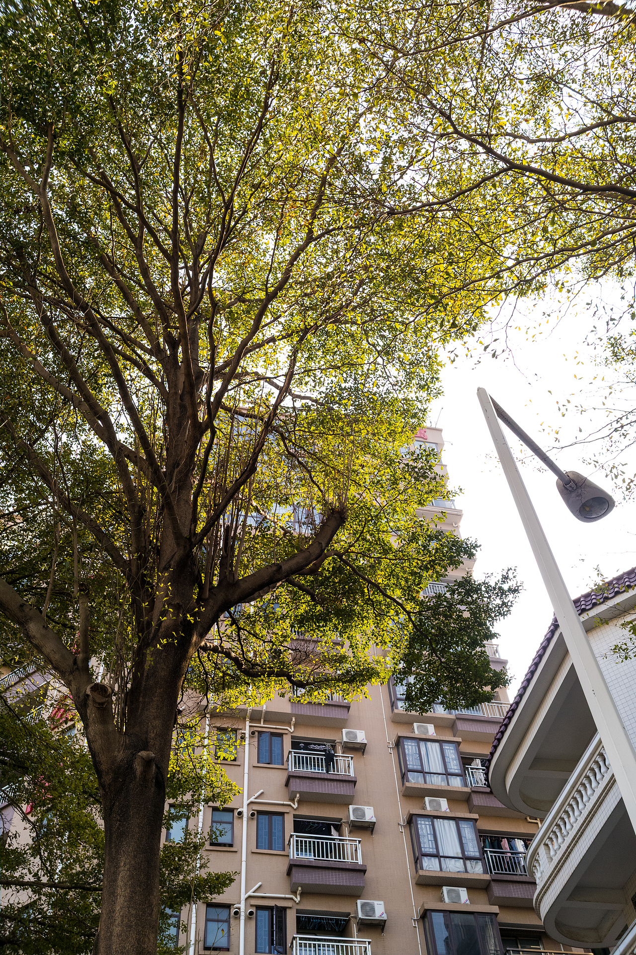 谁说DXO ONE上不了台面!!!（图ZNDAyMTUzNDky） - 其他摄影 - 站酷设计师玛卡卡巴原创素材 - 站酷ZCOOL