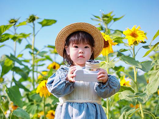 深圳环西丽湖绿道稻香尺案向日葵花田🌻