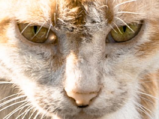 《Before & Beyond》（个人主页-ZNzMxMTE5MTI=） - 其他摄影 - 站酷设计师子春有柒原创素材 - 站酷ZCOOL