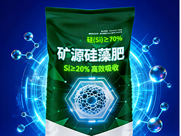 拙悦×矿原硅藻肥