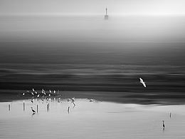 石臼湖的冬日印象