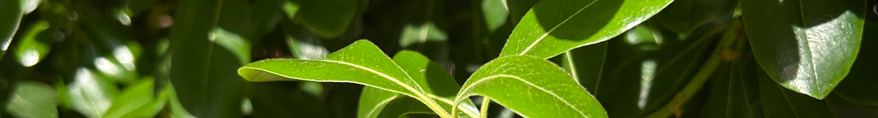 青息的个人主页（封面预览） - 主页封面设置 - 站酷设计师青息原创素材 - 站酷ZCOOL