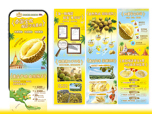 泰农臻选金枕榴莲详情页（落地页）