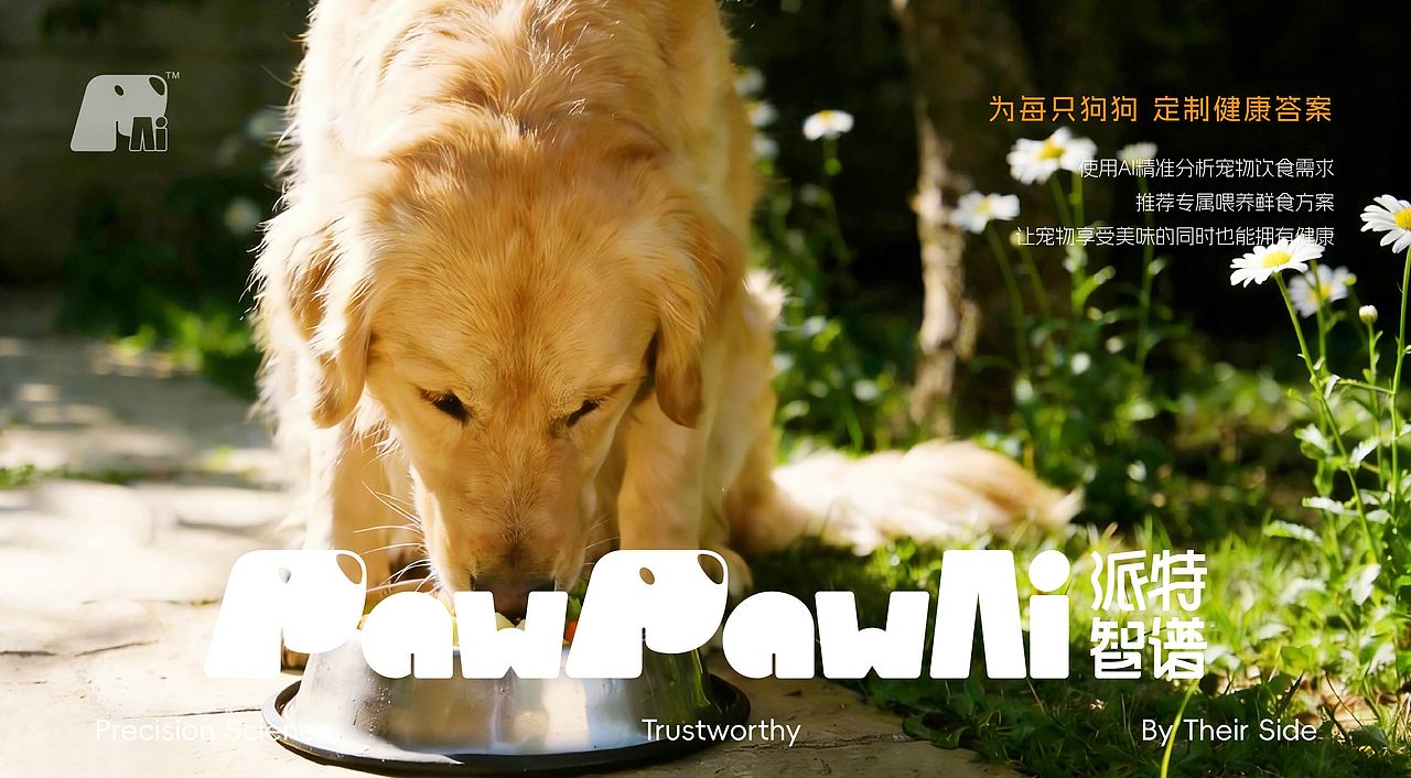 PawPawAi宠物鲜粮 品牌全案(图ZNDAyMzA3OTky) - 品牌 - 站酷设计师With_town为之堂原创素材 - 站酷ZCOOL