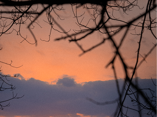 26年初 上海郊外的冬日落下