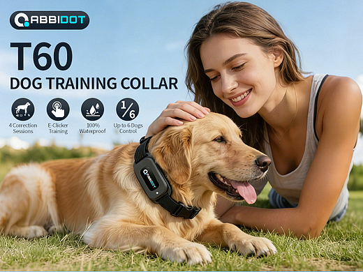 训狗器亚马逊主图A+设计