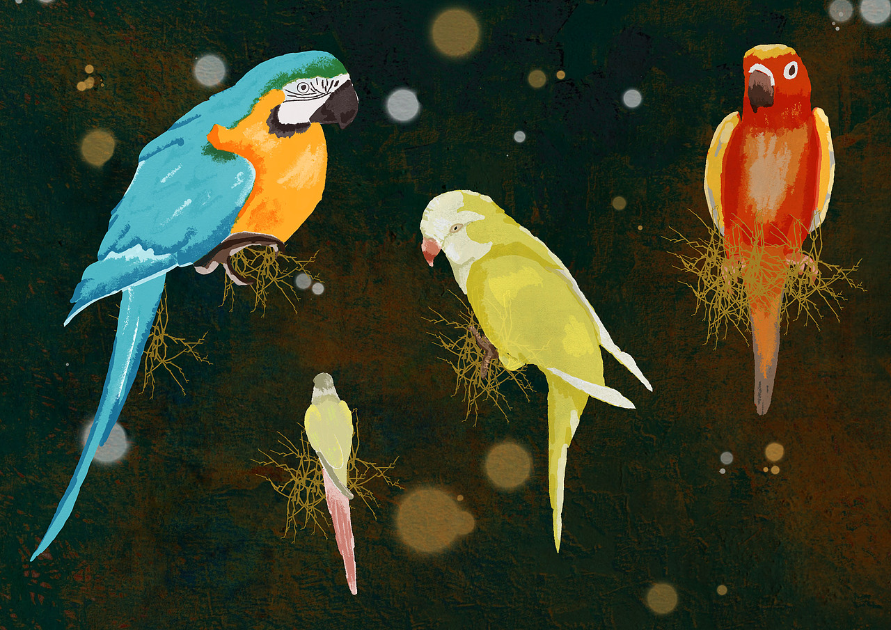 鹦鹉（图ZNDAyMzQ2ODYw） - 艺术插画 - 站酷设计师牛油果的dream原创素材 - 站酷ZCOOL