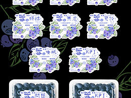 蓝莓系列包装插画