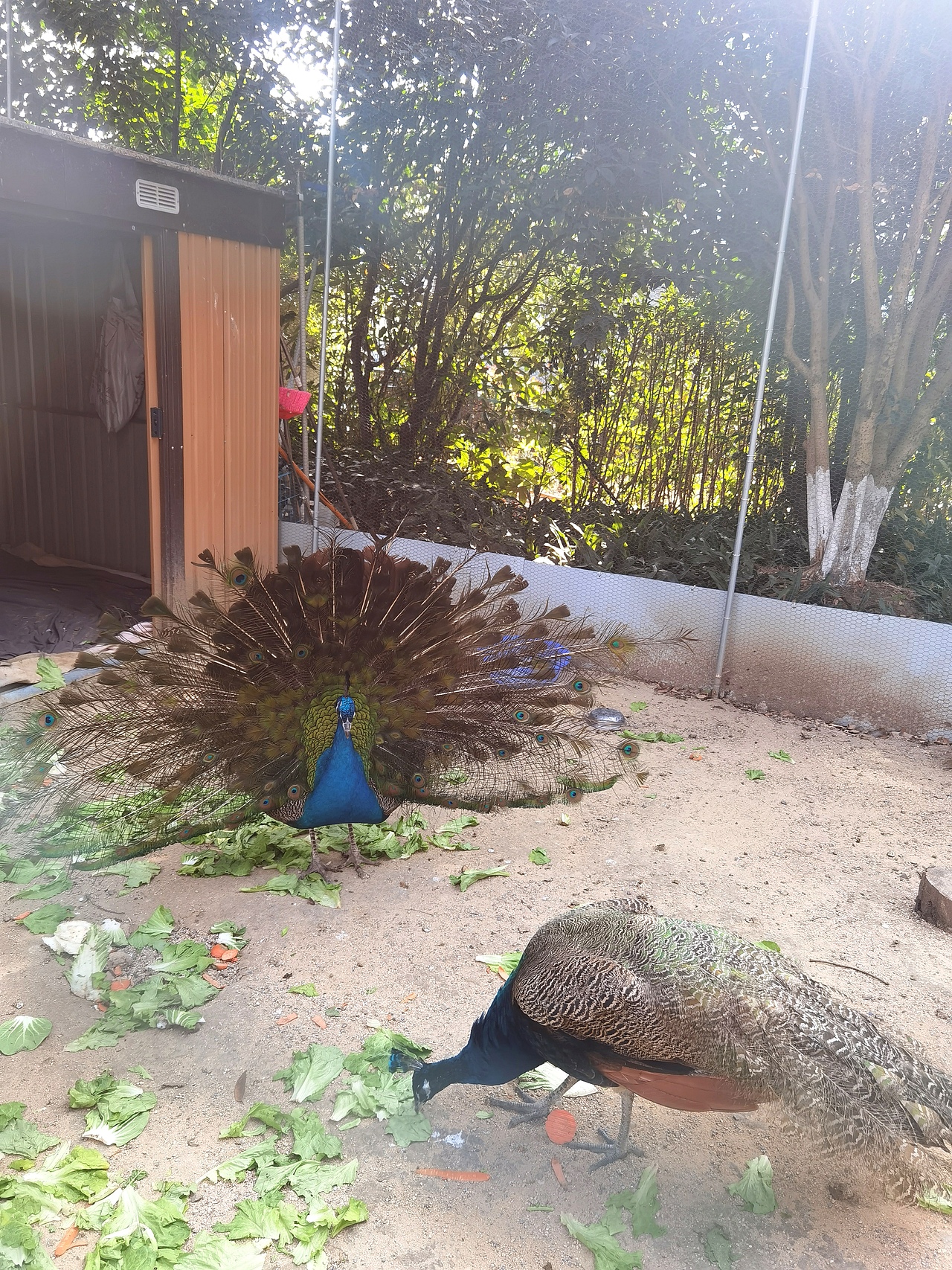 观鸟（图ZNDAyMzUwMTY4） - 人文/纪实摄影 - 站酷设计师mars_su原创素材 - 站酷ZCOOL