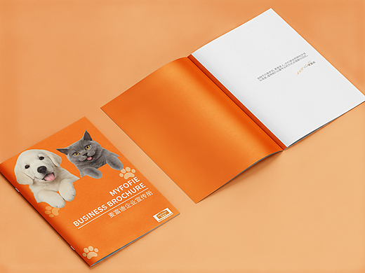宠物品牌画册（个人主页-ZNzMxMjkxOTI=） - 书籍/画册 - 站酷设计师小鱼再原创素材 - 站酷ZCOOL
