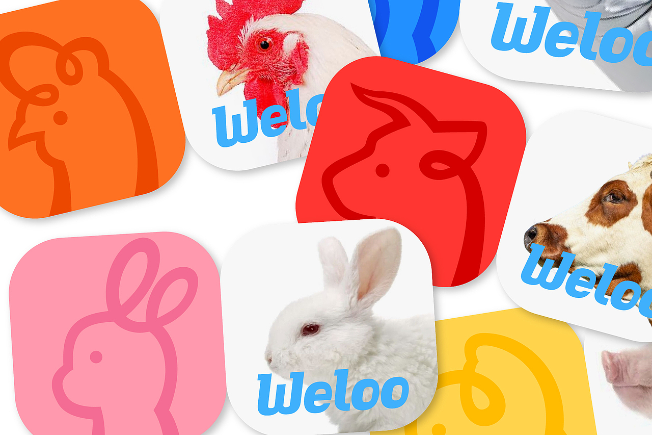 味乐Weloo 宠物鲜食品牌形象设计（图ZNDAyNDEwMDM2） - 品牌 - 站酷设计师D2D_STUDIO原创素材 - 站酷ZCOOL