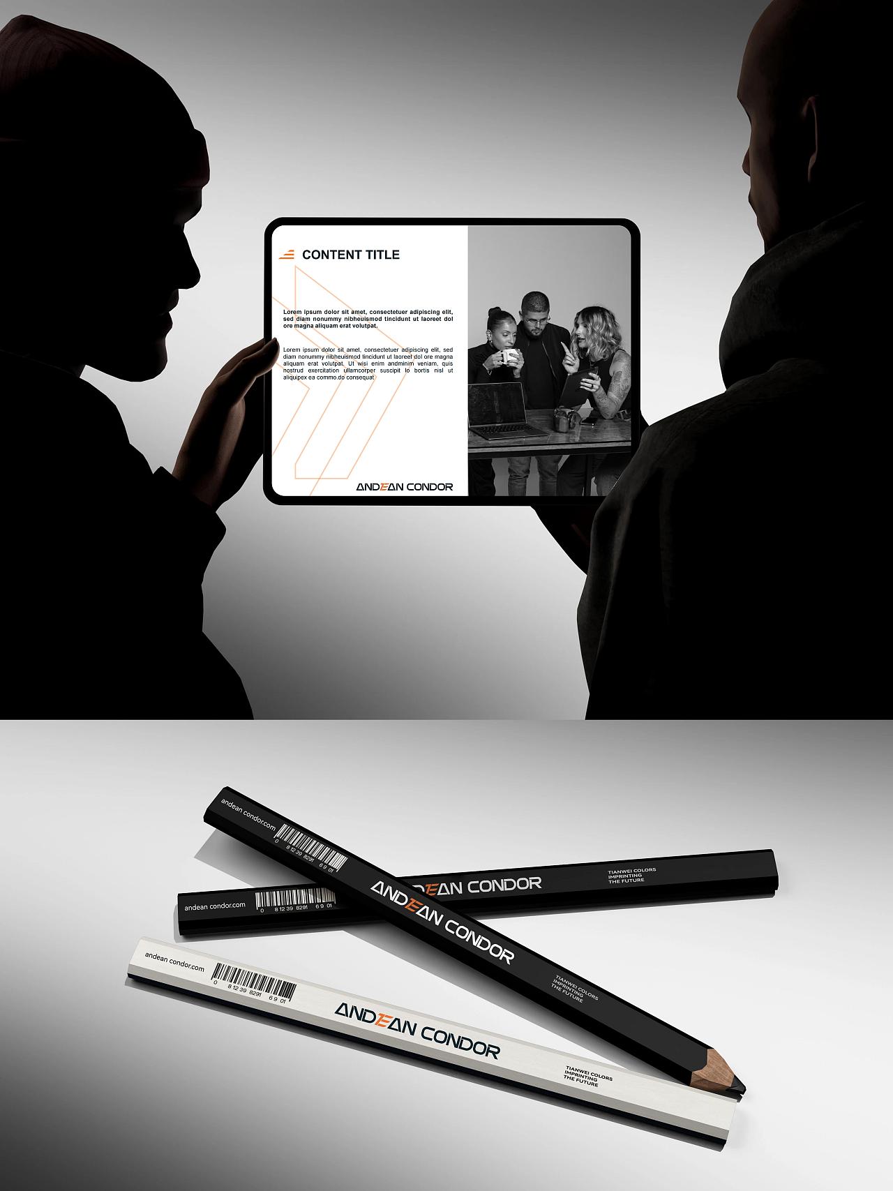 JINGY STUDIO×ANDEAN CONDOR｜企业品牌LOGO设计（图ZNDAyNDI1MTM2） - Logo - 站酷设计师HANYIGROUP原创素材 - 站酷ZCOOL