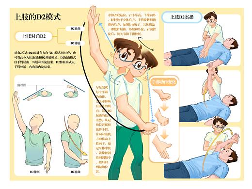 pnf康复可视化