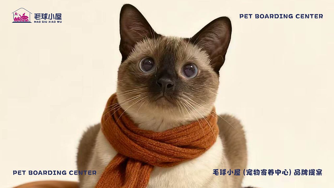 宠物寄养中心品牌提案（图ZNDAyNDc1MDY0） - 品牌 - 站酷设计师T米豆原创素材 - 站酷ZCOOL