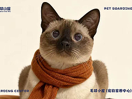 宠物寄养中心品牌提案